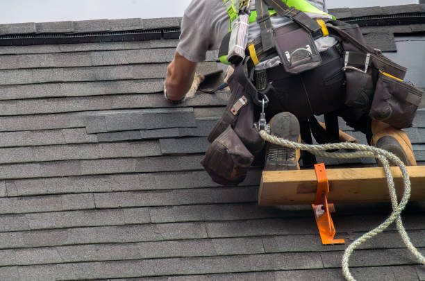 Best Roofing Contractor Near Me  in Warner Robins, GA