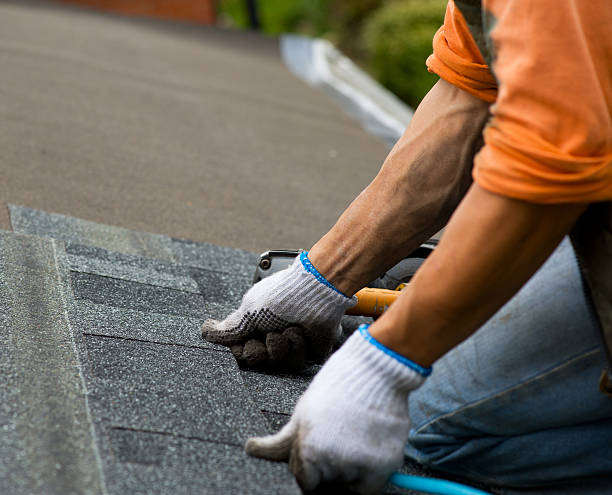 Best New Roof Installation  in Warner Robins, GA
