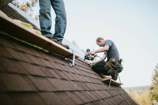 Quick and Trustworthy Emergency Roof Repair Services in Warner Robins, GA